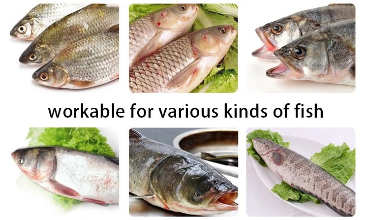 fish scale remover machine 1 fish scale remover machine 1